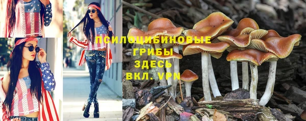 амфетамин Няндома