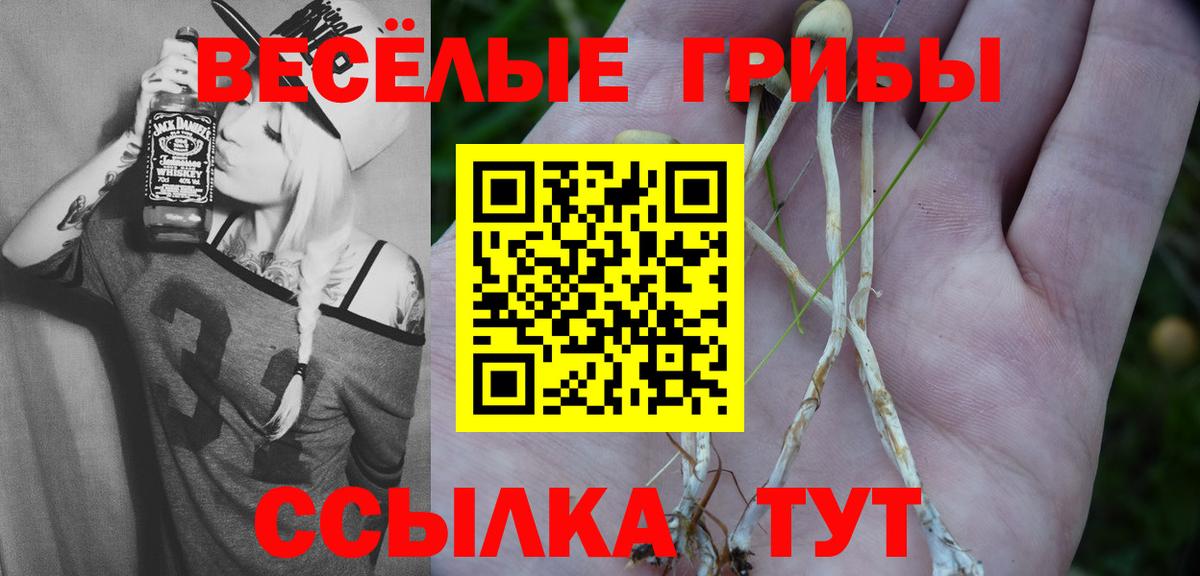 Псилоцибиновые грибы GOLDEN TEACHER  Вход с VPN  Тула  Псилоцибиновые грибы Cubensis 